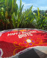 Flower Pool Bali: 27sqm